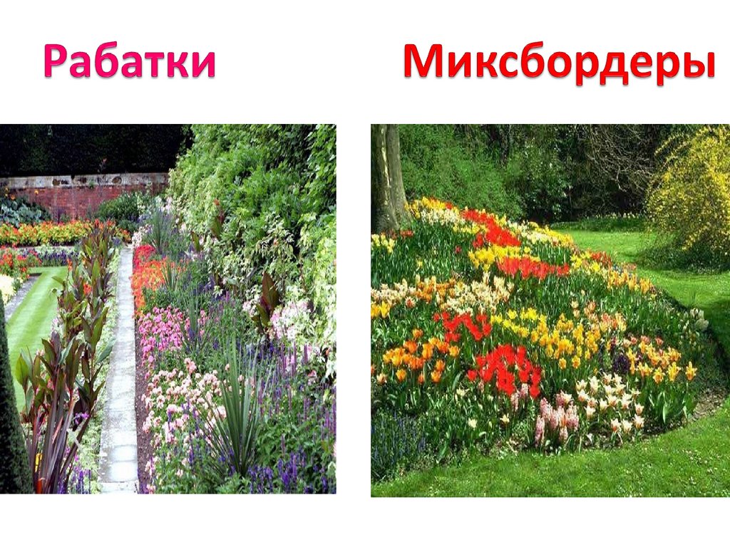 Рабатки Миксбордеры
