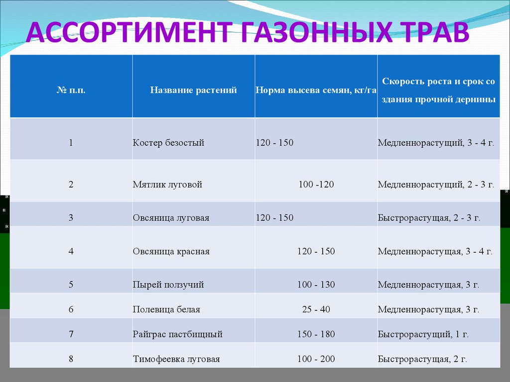 АССОРТИМЕНТ ГАЗОННЫХ ТРАВ