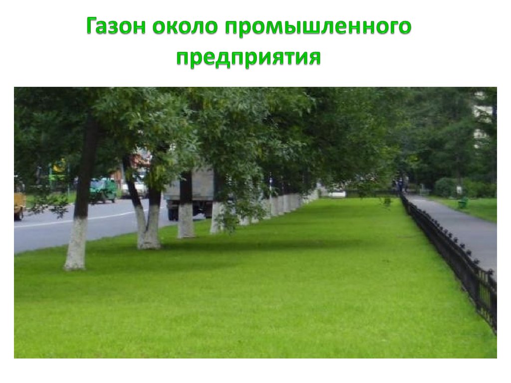 Газон около промышленного предприятия