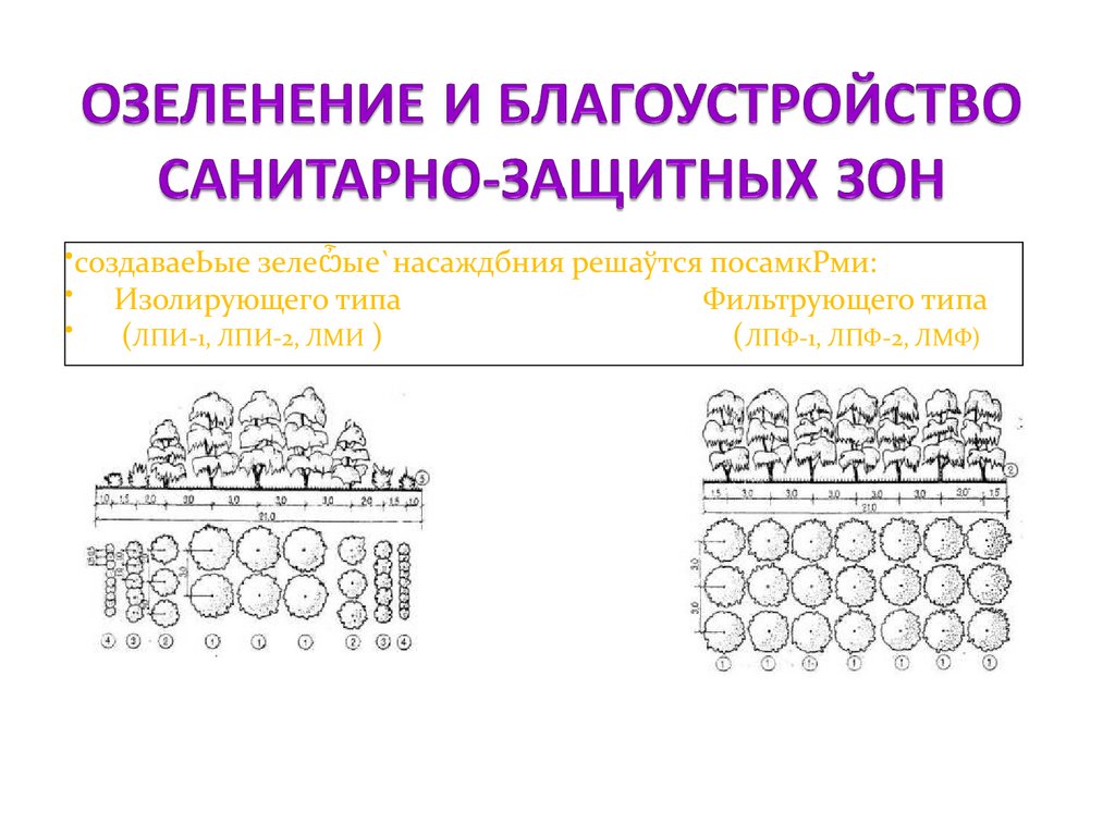 ОЗЕЛЕНЕНИЕ И БЛАГОУСТРОЙСТВО САНИТАРНО-ЗАЩИТНЫХ ЗОН