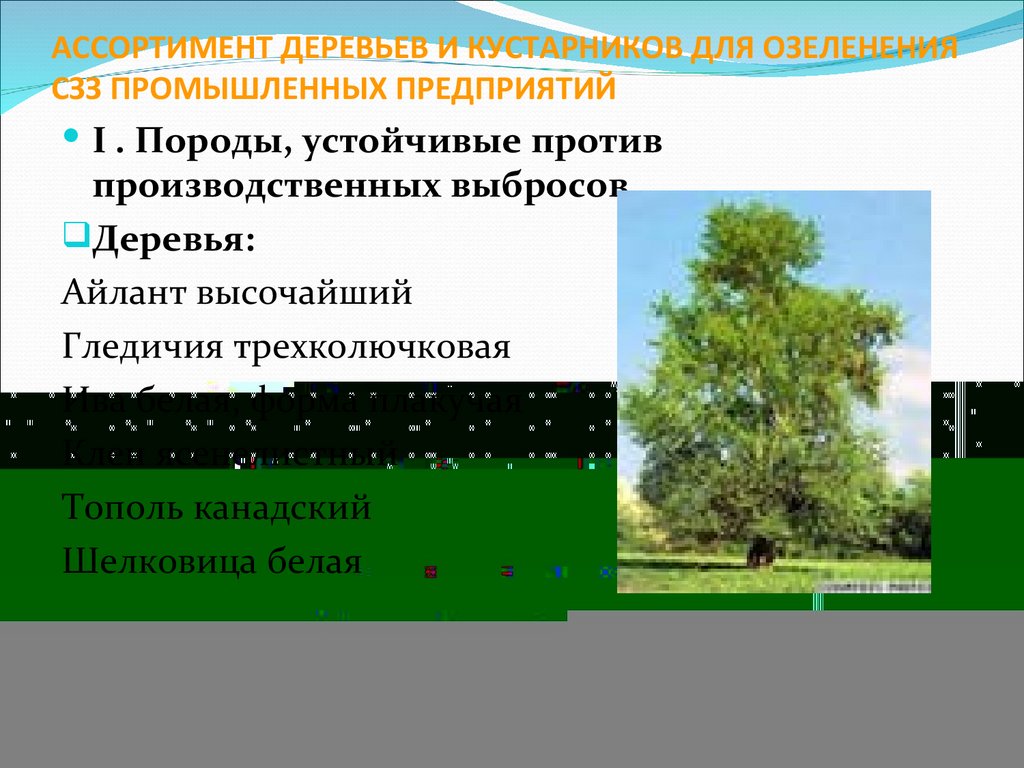 АССОРТИМЕНТ ДЕРЕВЬЕВ И КУСТАРНИКОВ ДЛЯ ОЗЕЛЕНЕНИЯ СЗЗ ПРОМЫШЛЕННЫХ ПРЕДПРИЯТИЙ