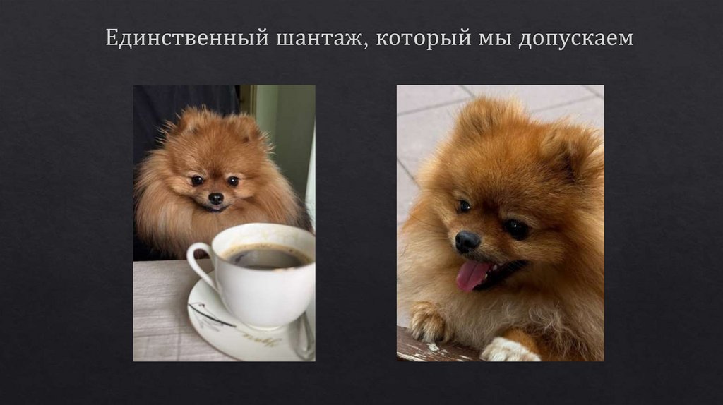 Единственный шантаж, который мы допускаем