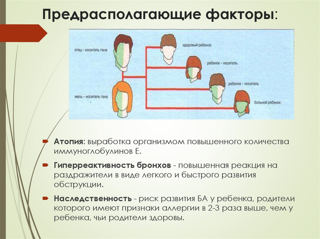 Предрасполагающие факторы: