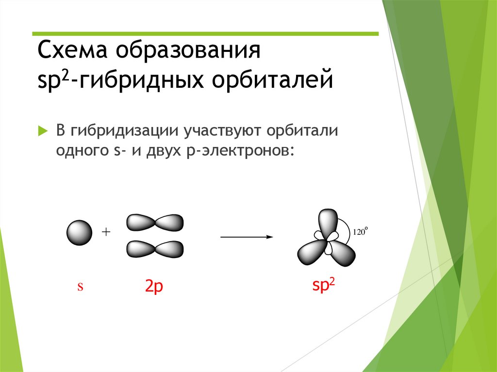 Схема образования sp2-гибридных орбиталей