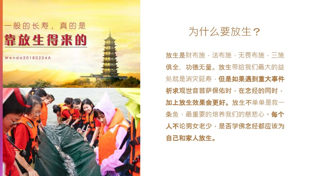 为什么要放生？