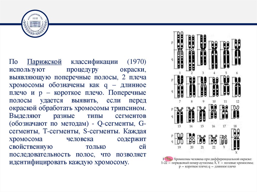 По Парижской классификации (1970) используют процедуру окраски, выявляющую поперечные полосы, 2 плеча хромосомы обозначены как