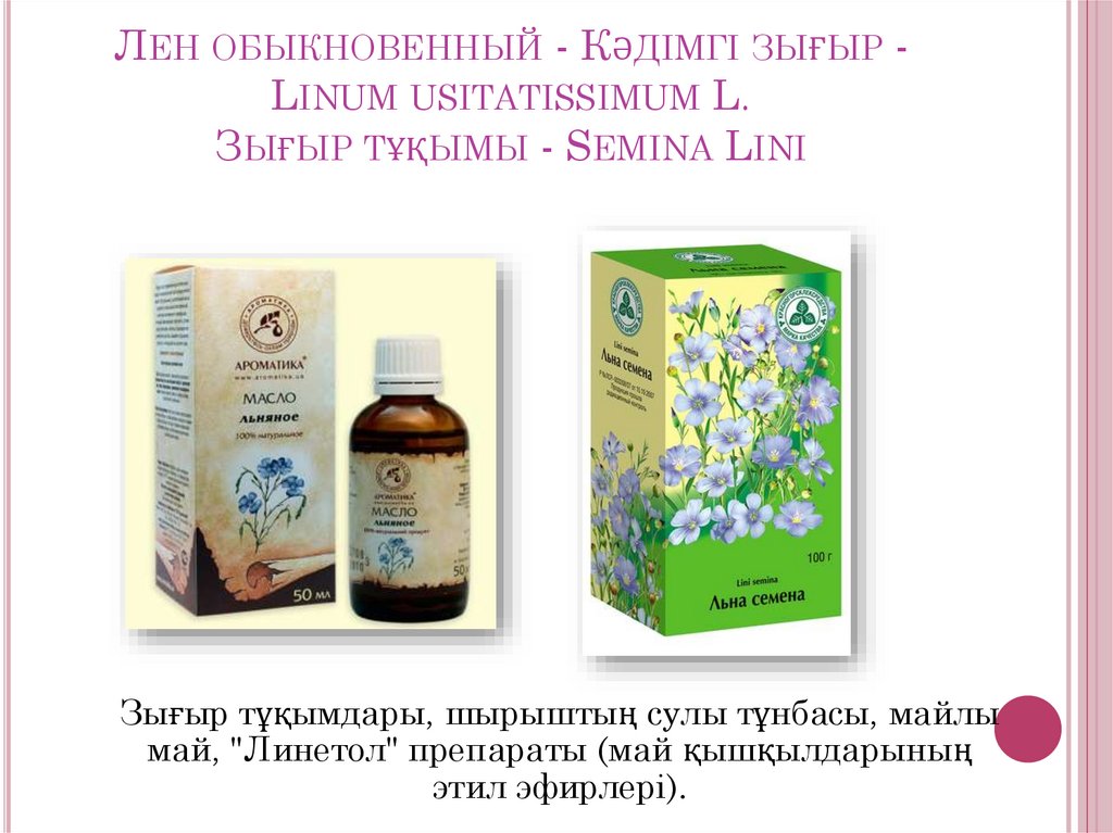 Лен обыкновенный - Кәдімгі зығыр - Linum usitatissimum L. Зығыр тұқымы - Semina Lini