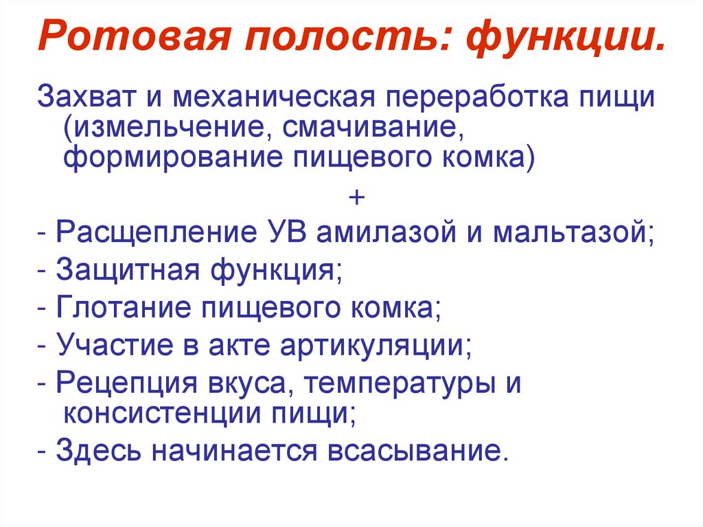 Ротовая полость: функции.