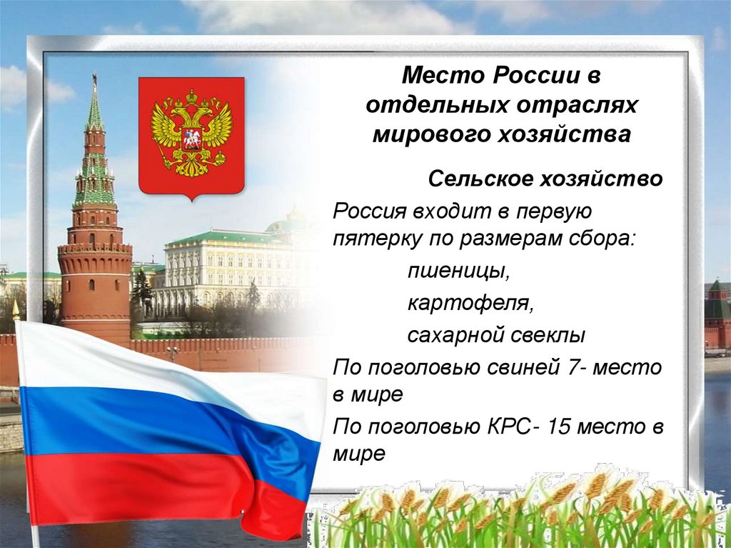 Место России в отдельных отраслях мирового хозяйства