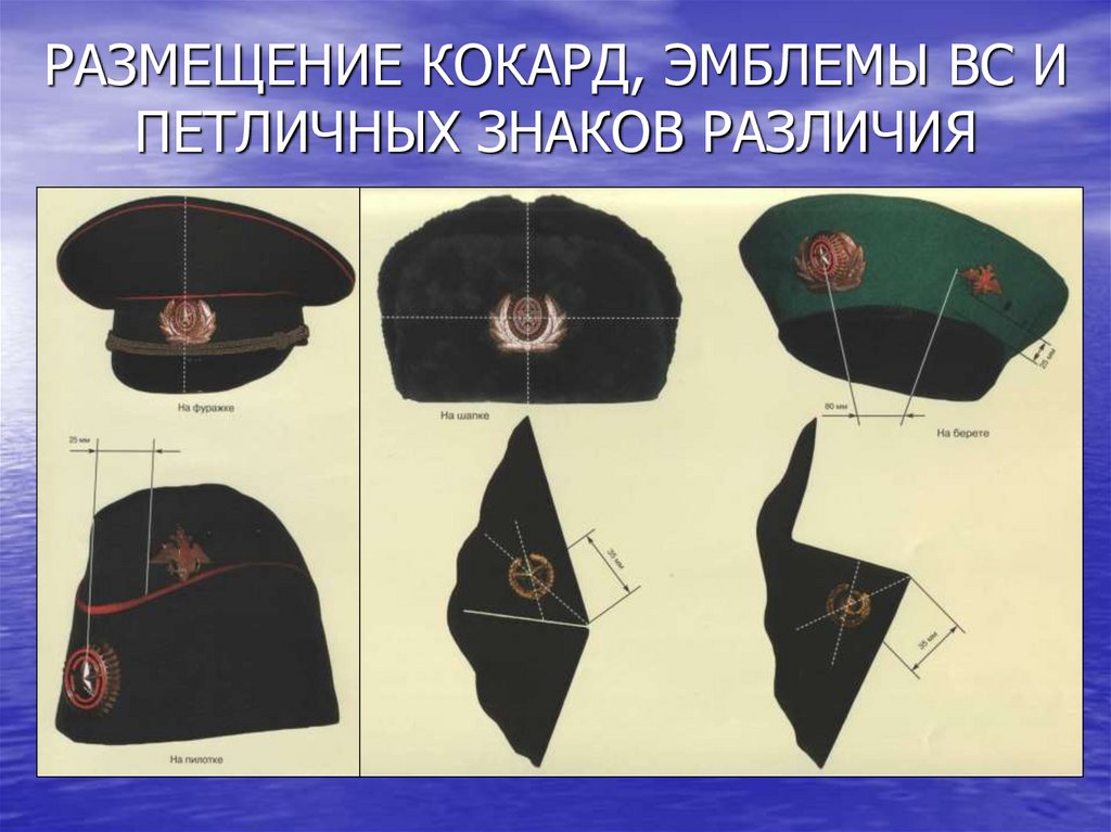 РАЗМЕЩЕНИЕ КОКАРД, ЭМБЛЕМЫ ВС И ПЕТЛИЧНЫХ ЗНАКОВ РАЗЛИЧИЯ