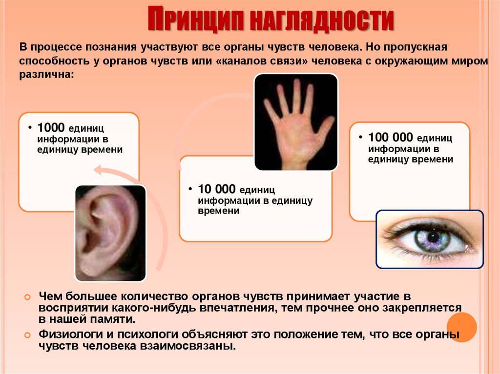 Принцип наглядности