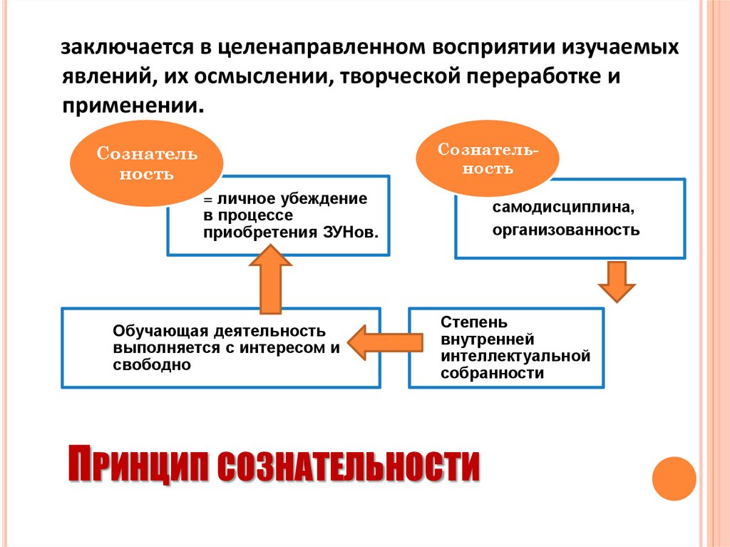 Принцип сознательности