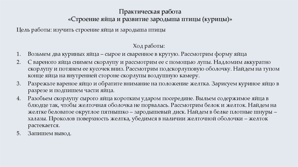 Практическая работа «Строение яйца и развитие зародыша птицы (курицы)»
