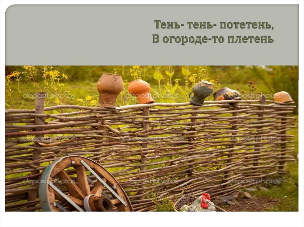 Тень- тень- потетень, В огороде-то плетень