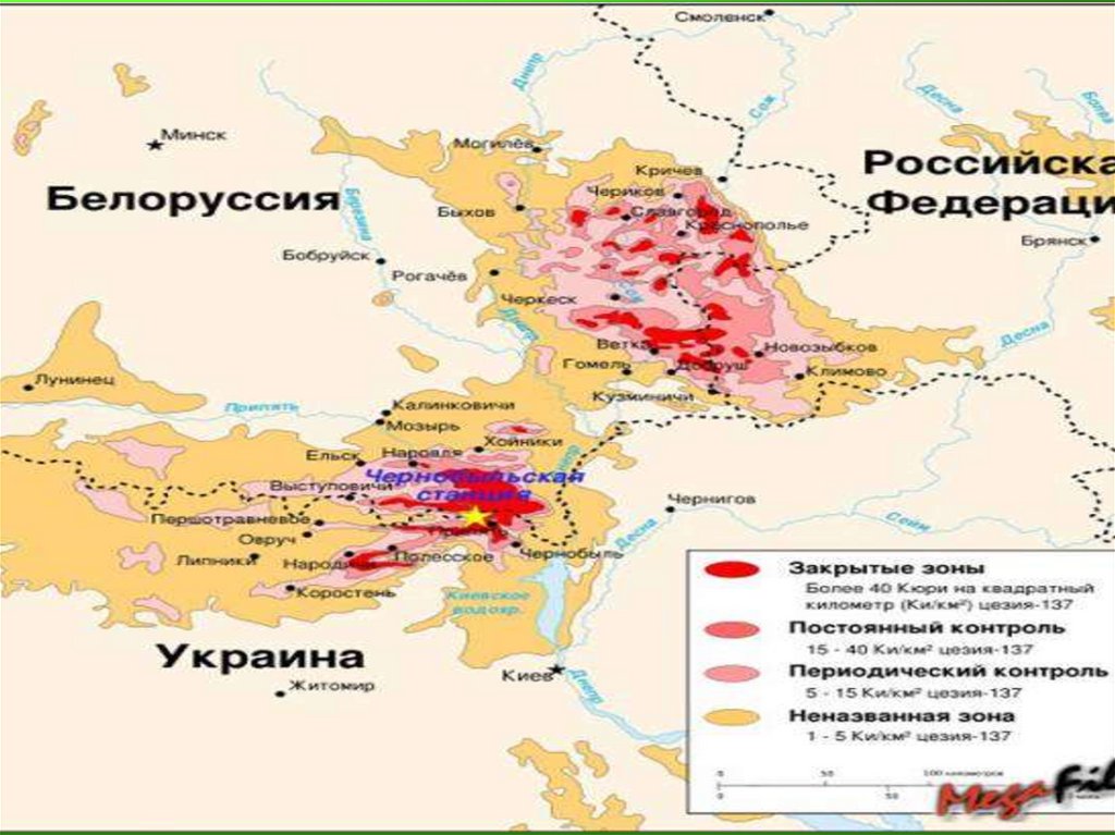 15. Период полураспада ядер атомов радия составляет 1620 лет. Это означает, что в образце, содержащем большое число атомов