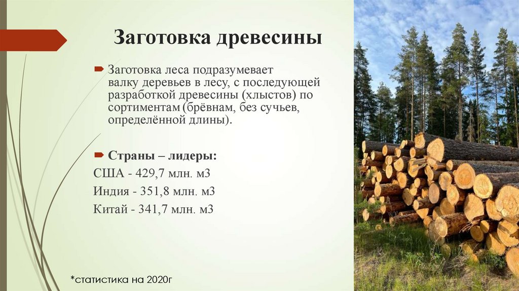 Заготовка древесины