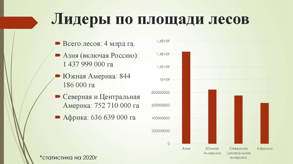 Лидеры по площади лесов