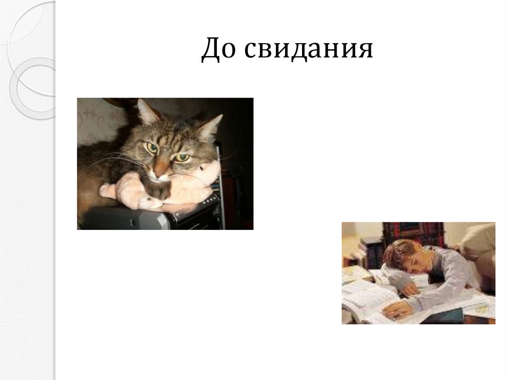 До свидания