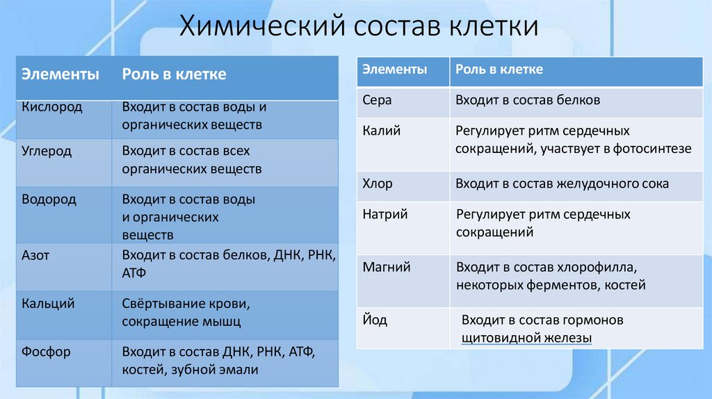 Химический состав клетки