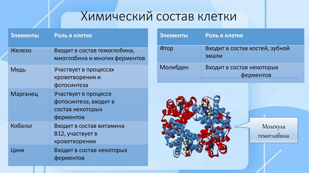 Химический состав клетки