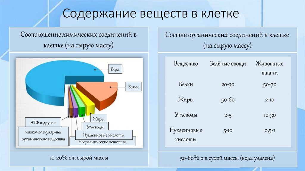 Содержание веществ в клетке