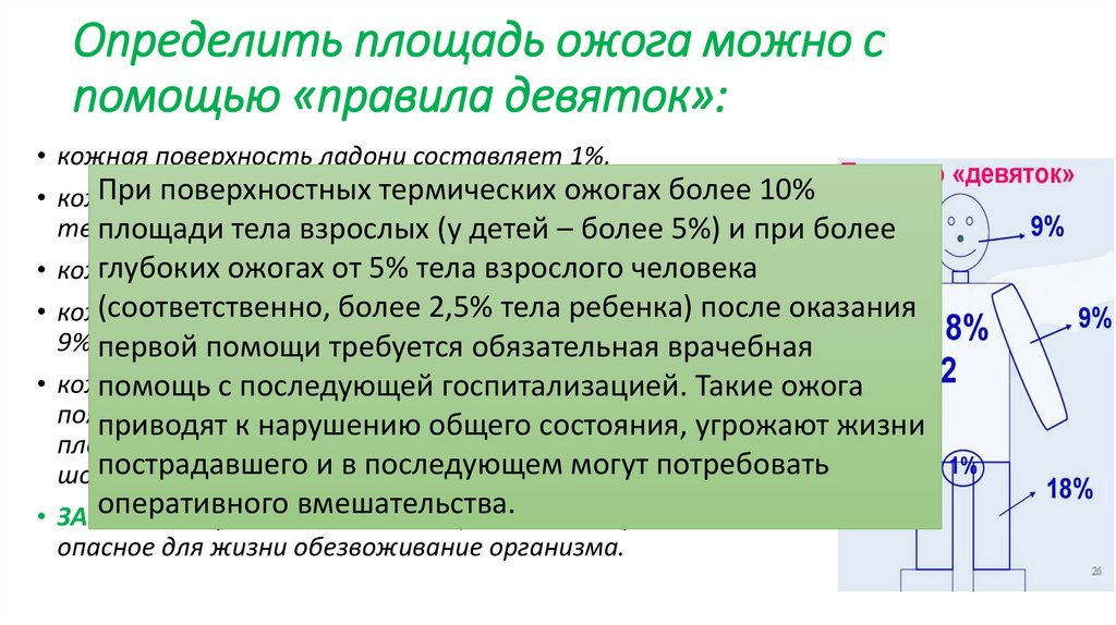 Определить площадь ожога можно с помощью «правила девяток»: