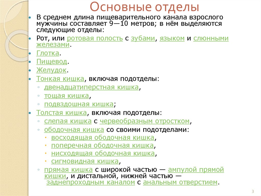 Основные отделы