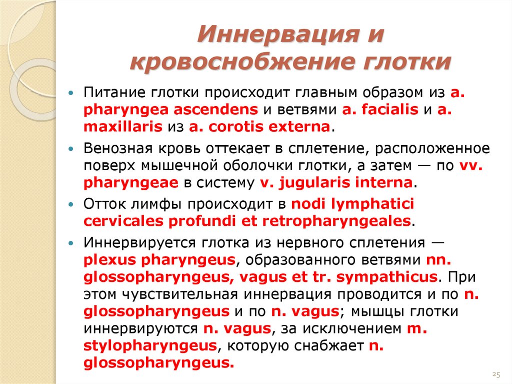 Иннервация и кровоснобжение глотки