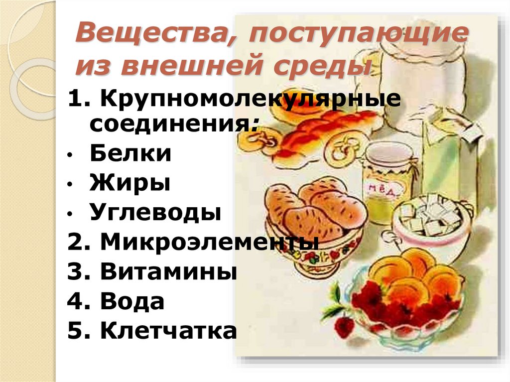 Вещества, поступающие из внешней среды