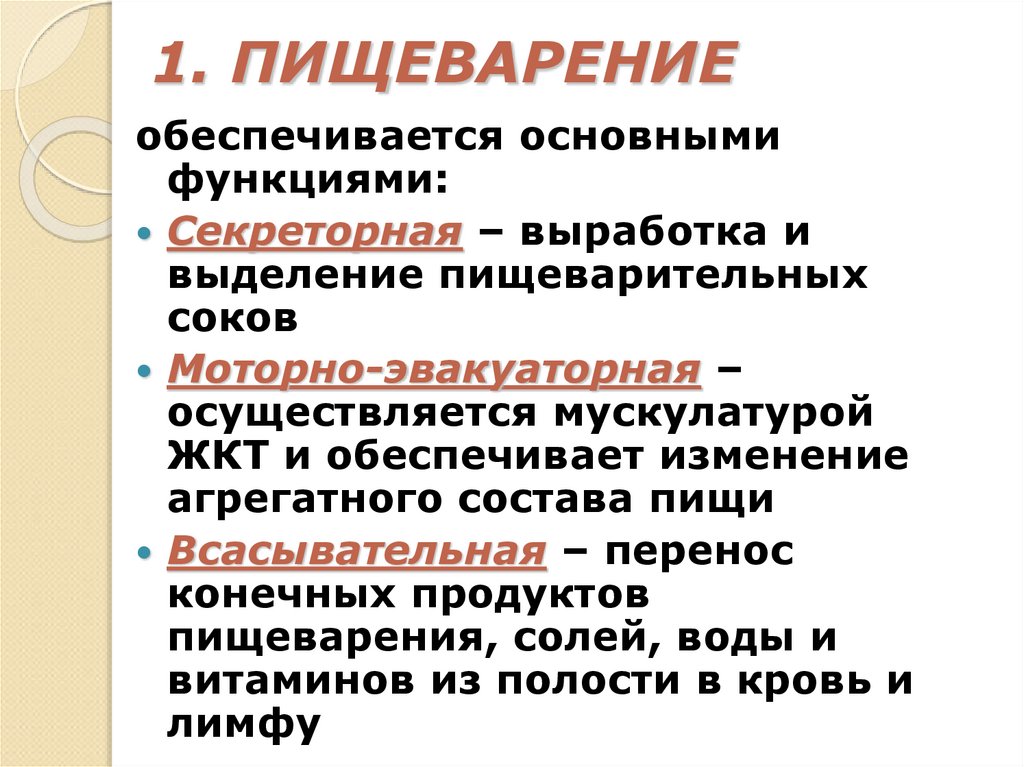 1. ПИЩЕВАРЕНИЕ