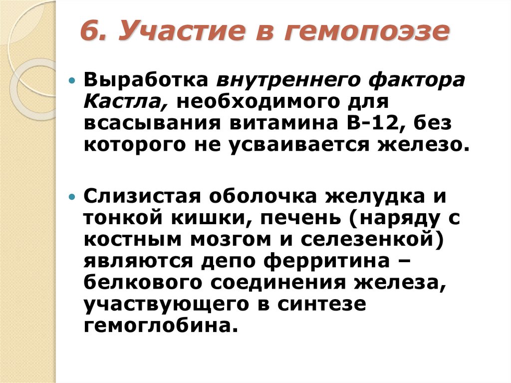 6. Участие в гемопоэзе