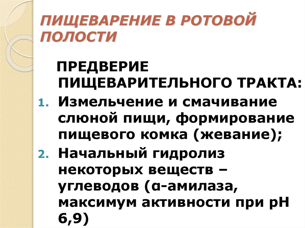 ПИЩЕВАРЕНИЕ В РОТОВОЙ ПОЛОСТИ
