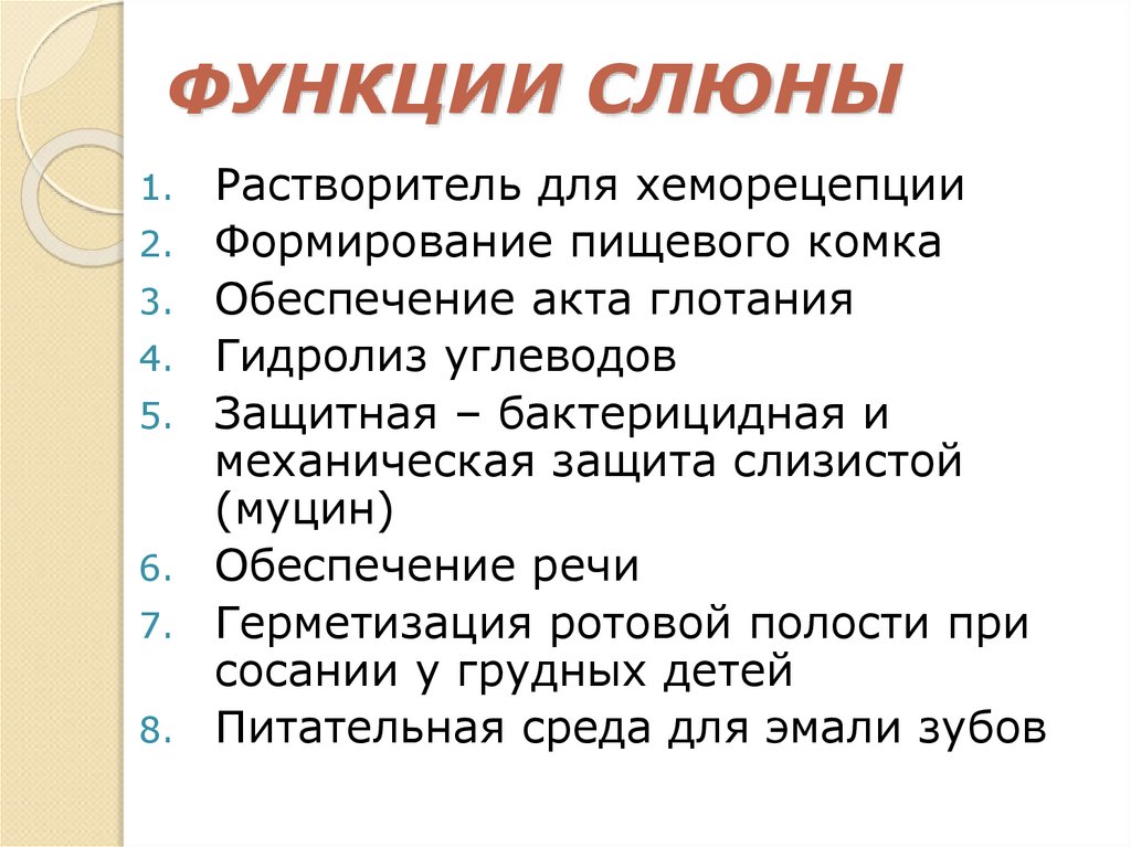 ФУНКЦИИ СЛЮНЫ