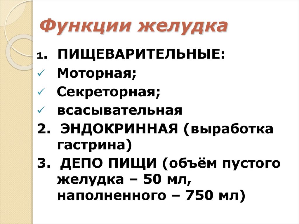 Функции желудка
