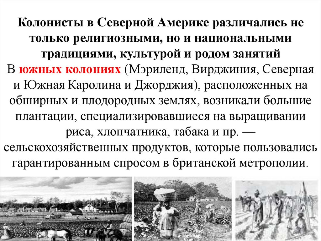 Колонисты в Северной Америке различались не только религиозными, но и национальными традициями, культурой и родом занятий В