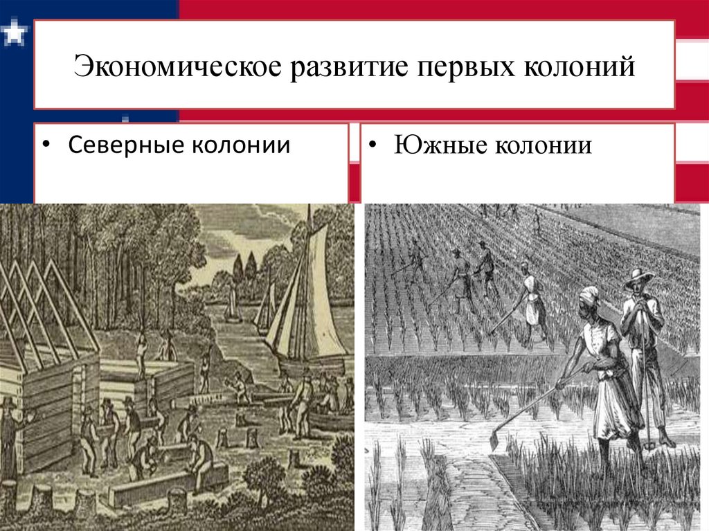 Экономическое развитие первых колоний