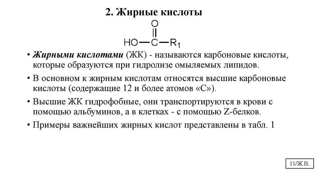 2. Жирные кислоты