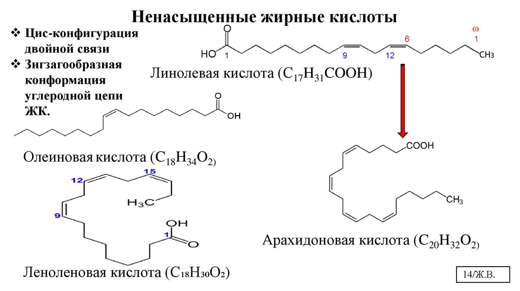 Ненасыщенные жирные кислоты