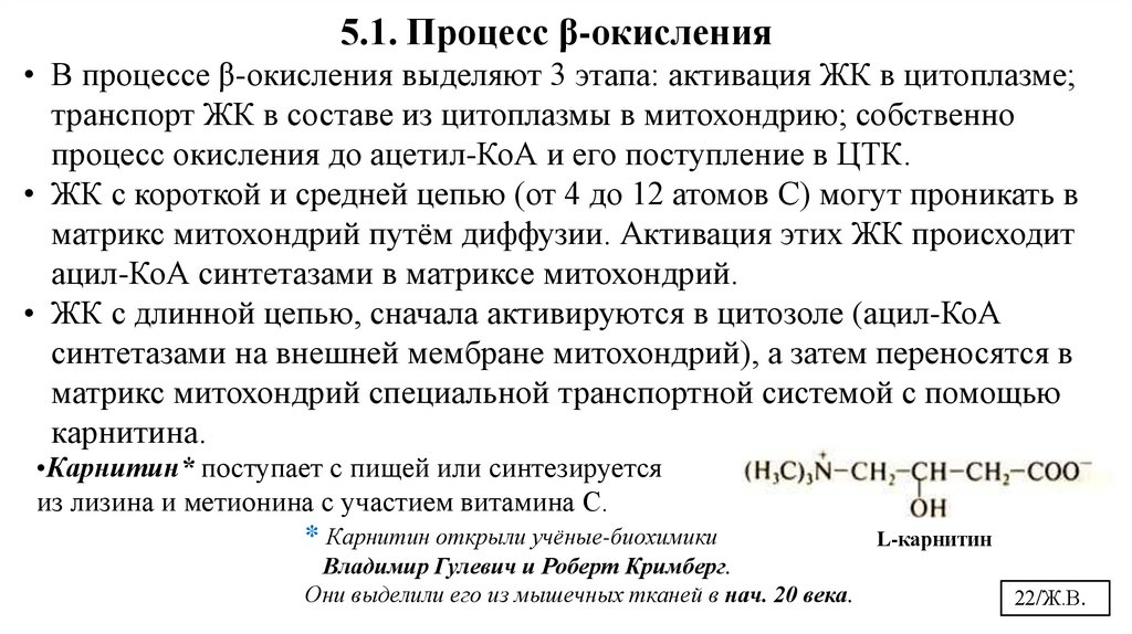 5.1. Процесс β-окисления