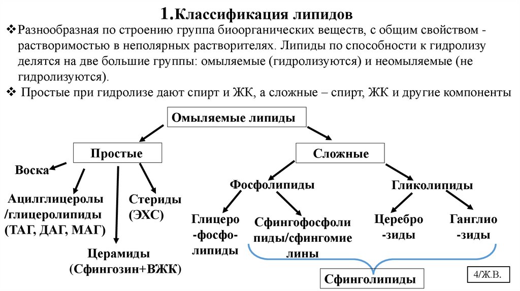 1.Классификация липидов