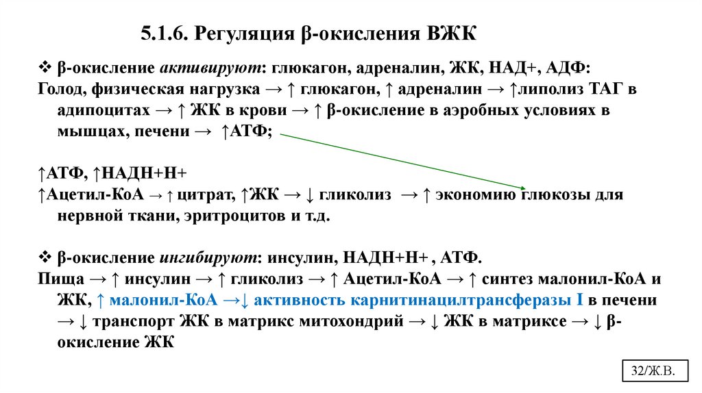 5.1.6. Регуляция β-окисления ВЖК