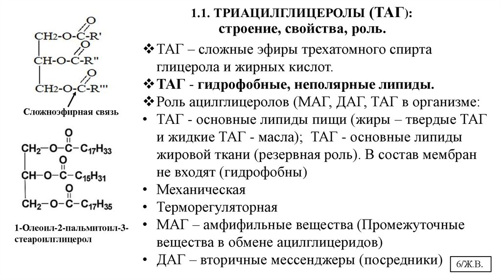 1.1. ТРИАЦИЛГЛИЦЕРОЛЫ (ТАГ): строение, свойства, роль.