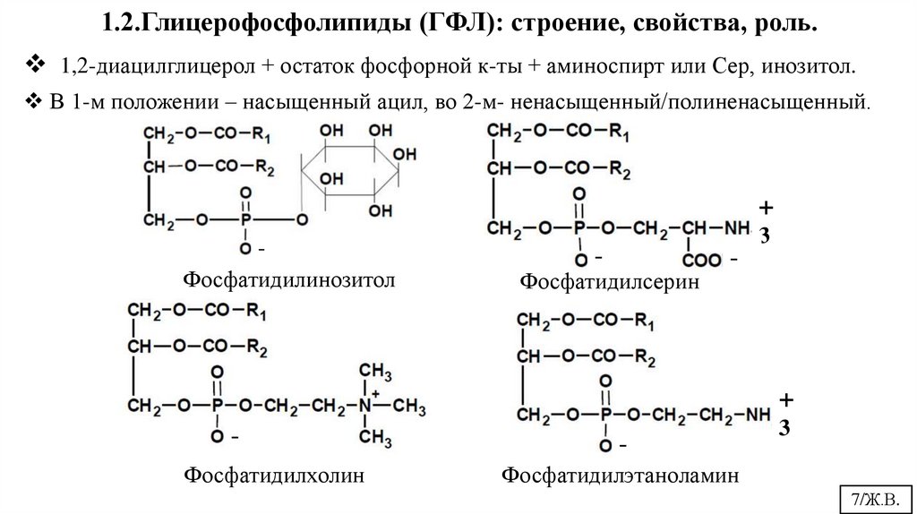 1.2.Глицерофосфолипиды (ГФЛ): строение, свойства, роль.
