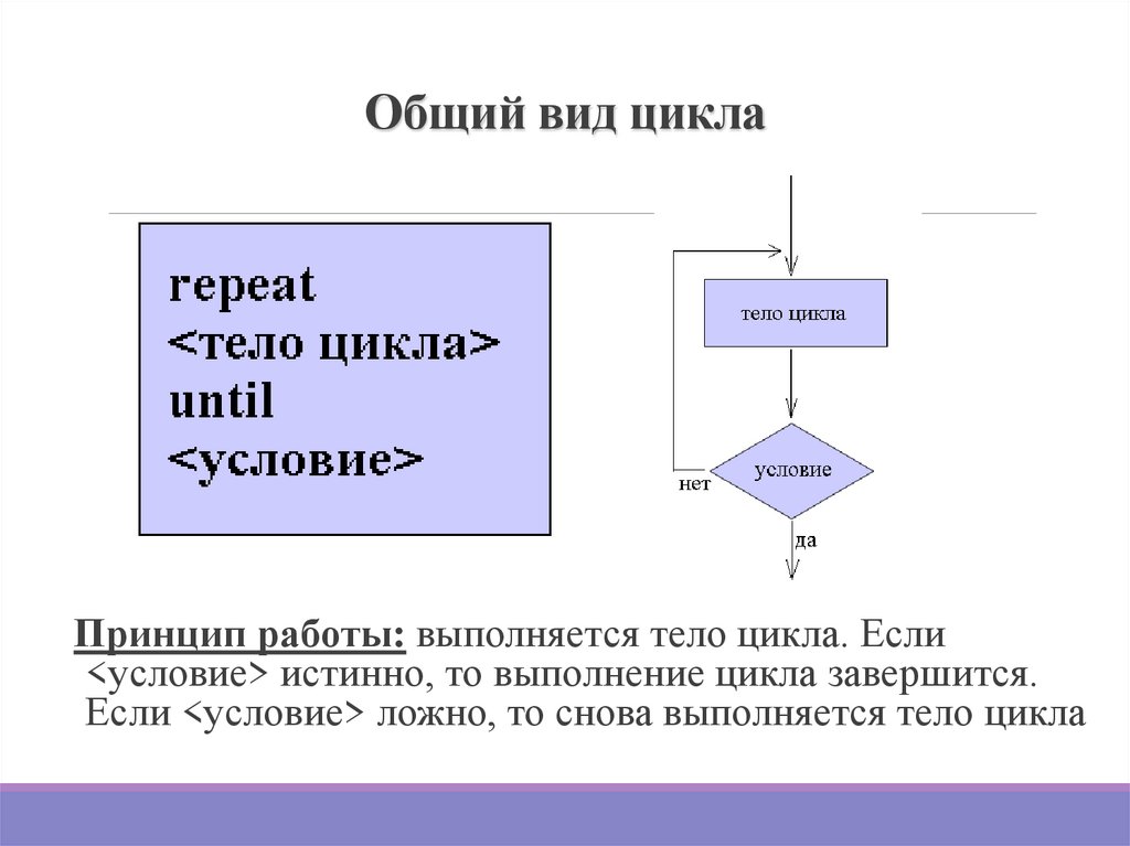 Общий вид цикла