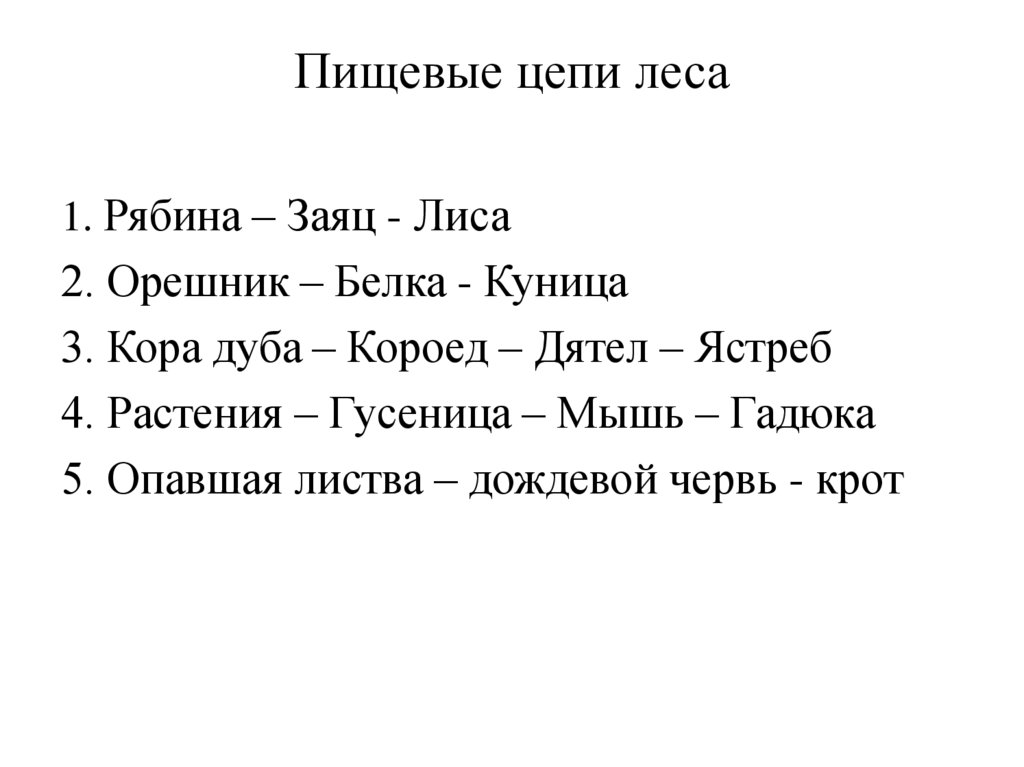 Пищевые цепи леса