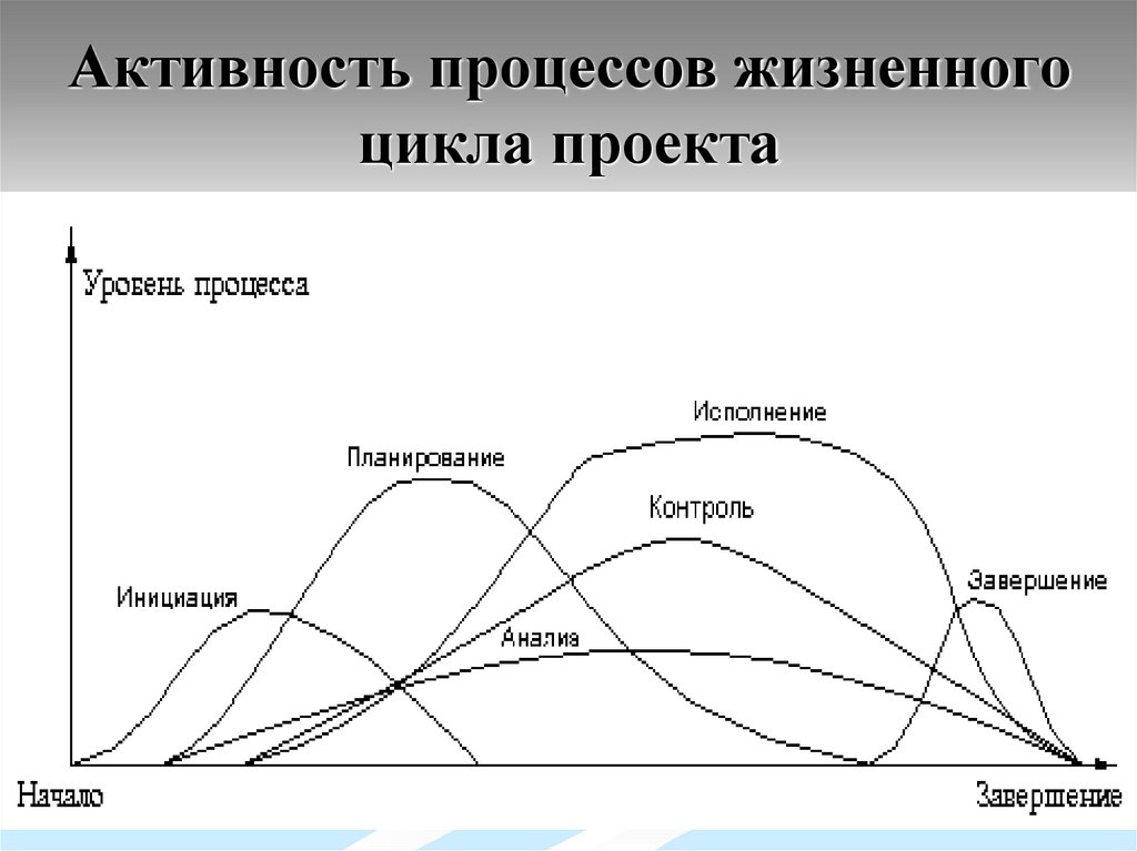 Активность процессов жизненного цикла проекта