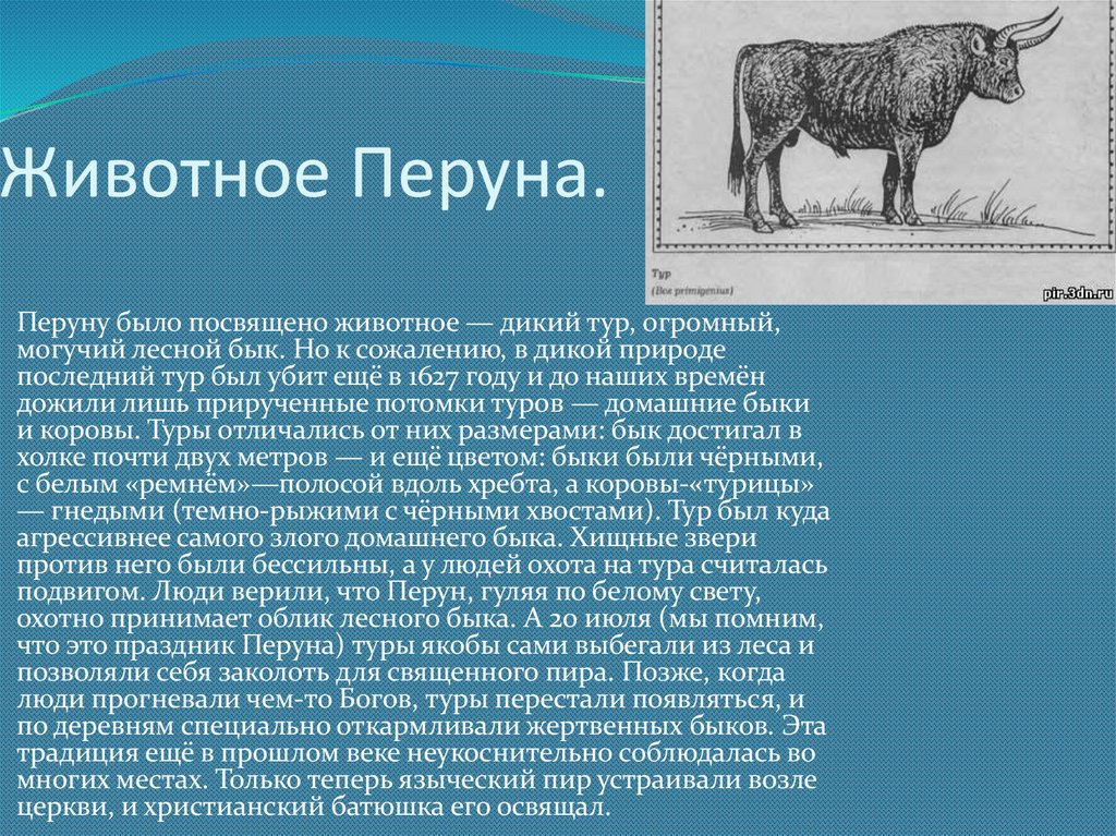 Животное Перуна.