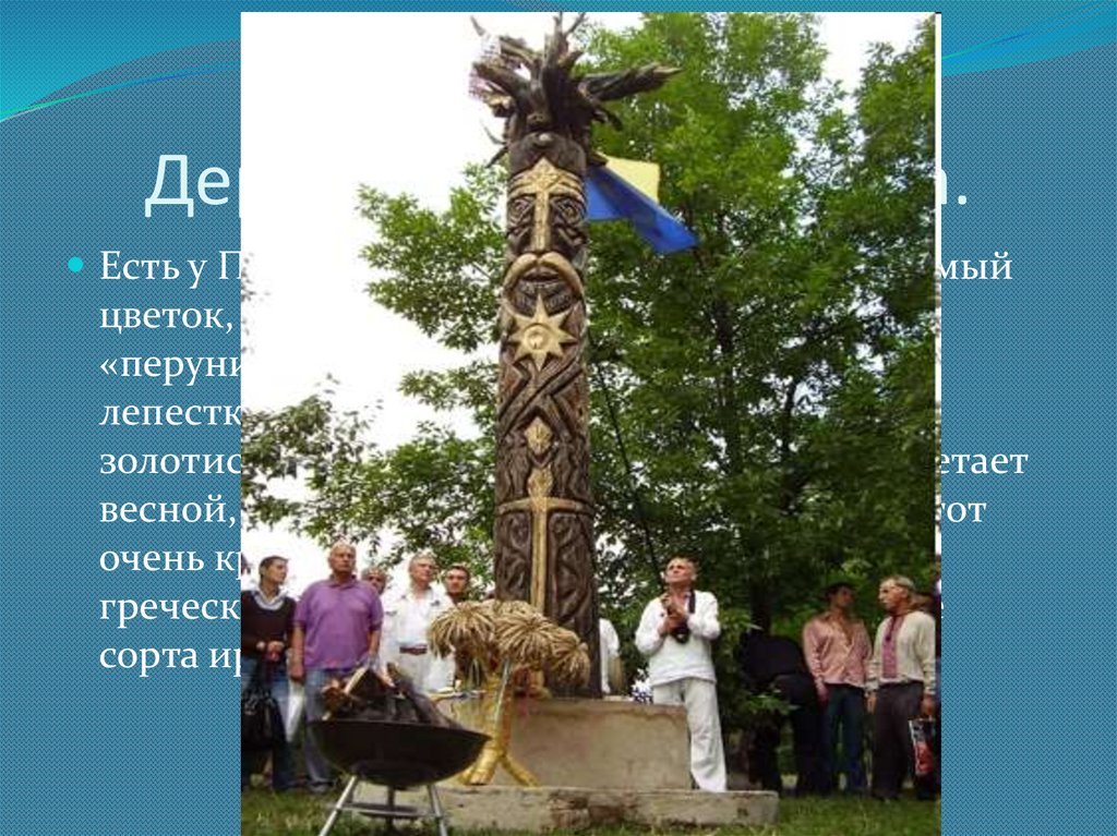 Дерево и цветок Перуна.