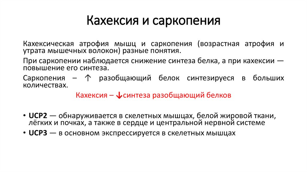 Кахексия и саркопения