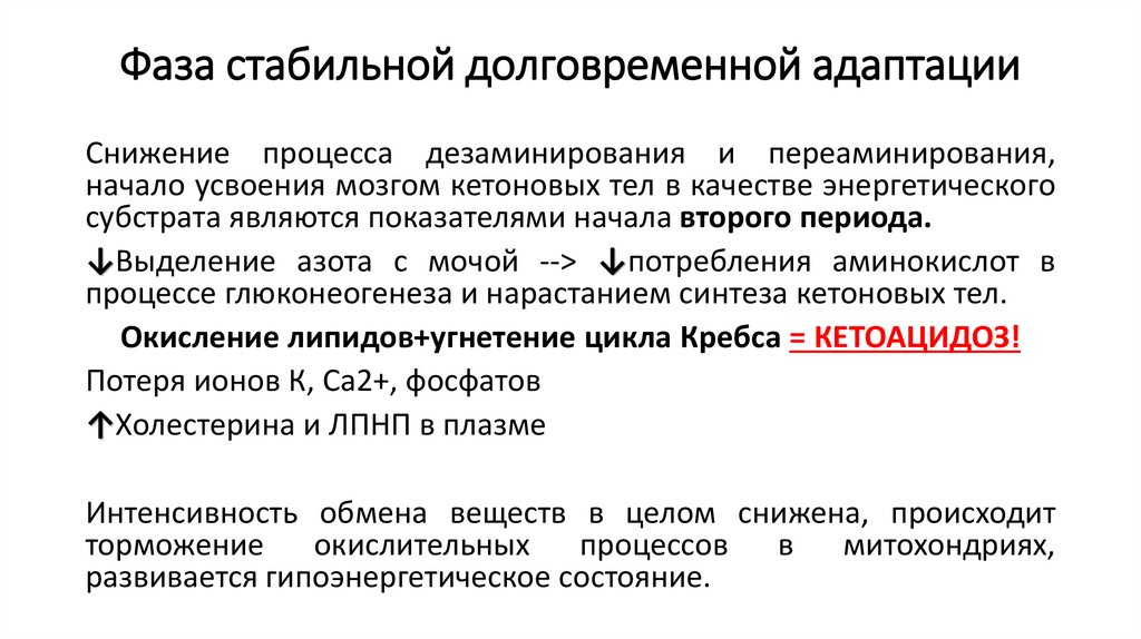 Фаза стабильной долговременной адаптации